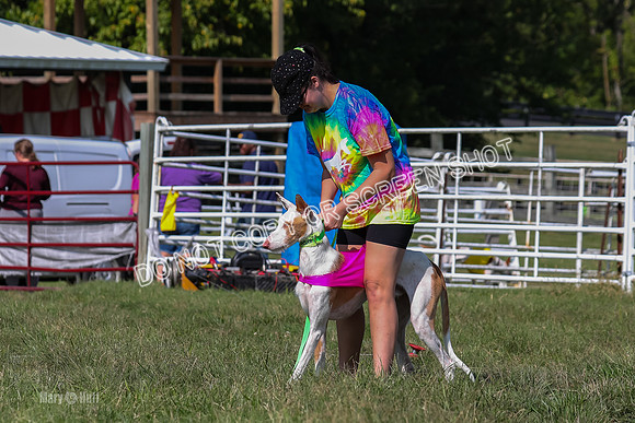 Prelims Kuiper-7444