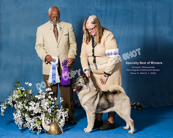 Elkhound 2020-1207-Edit