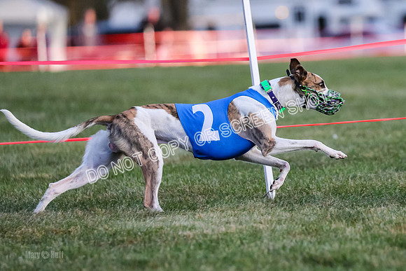 Prg 1, race 2, Spud Gnocchi Rigby-0604