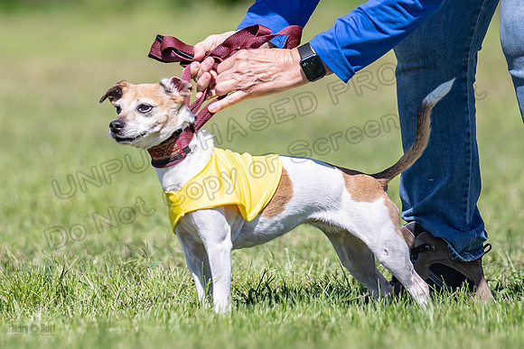 Rocki Girl-6470