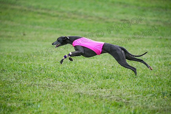 Prelim Open E4, Sassy Sneakers-5092