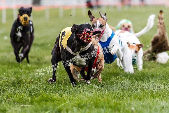WRA, Prg 2, Race 9, Cheetah Buttercup Entei Smudge Beacon CC-8908
