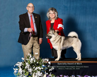 Elkhound 2020-1129