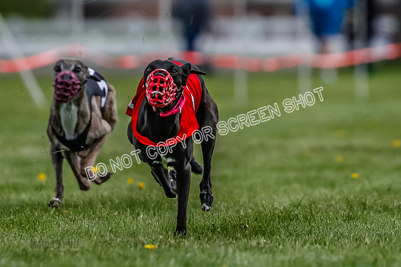 WRA, Prg 1, Race 4, Cassie Duesenberg Warrior Muchu Jasmine-8303