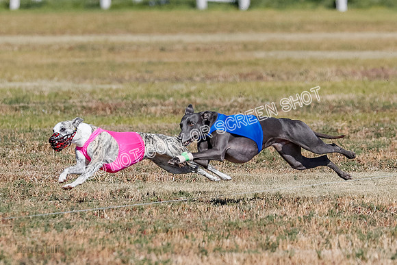 Open 1, Final, Zuma-Quinn-Flint-4933