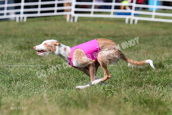 Open Prelim A2, Madyson, Razz-7623