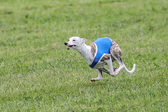 Prelim Open G2, Pixel Bumble Lzzy-9458