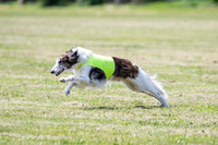 Finals Finnegan-0115