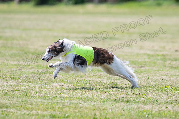 Finals Finnegan-0115