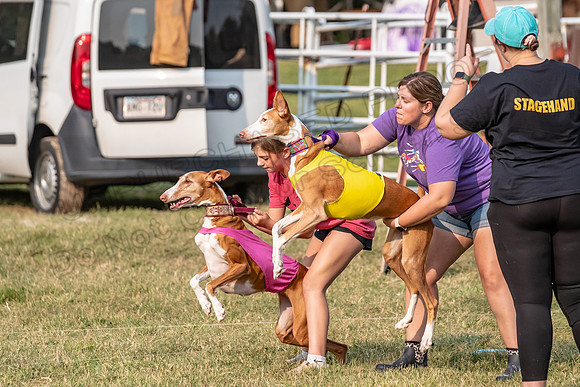 1prelims Vet 1prelim Izzy Dawn-3722