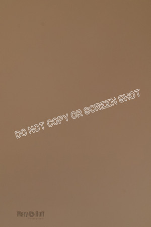 Cat Test 1-0180