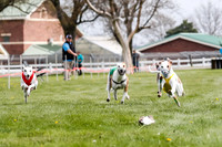 WRA, Prg 2, Race 2, Dash, Elvis Moonstruck Buzzsaw Mika Reas-8568