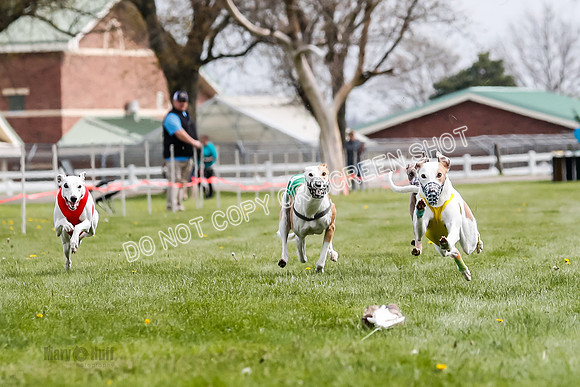 WRA, Prg 2, Race 2, Dash, Elvis Moonstruck Buzzsaw Mika Reas-8568