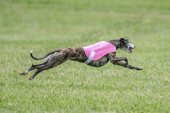Prelim Veterans 3, Hattie Marley Jewel-0167