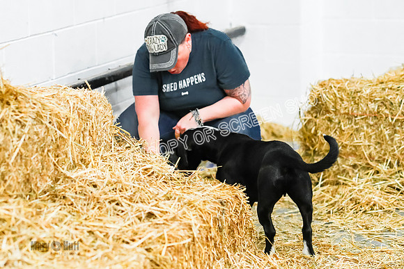 _E4I6867