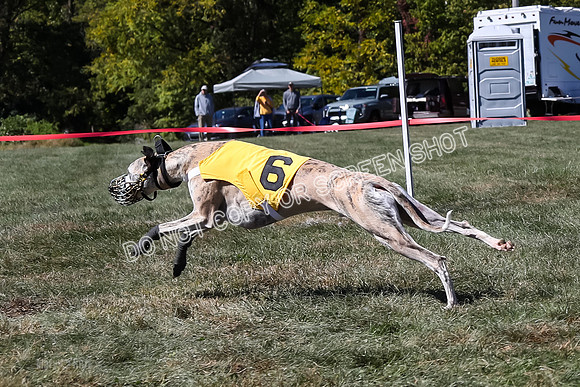 Prg 3, Race 3, Flynn Warrior Clyps Rigby Echo Arrow-9621
