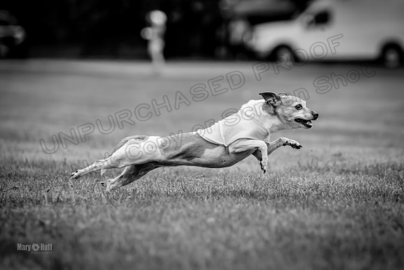 Prelims Rocketgirl-1129-2