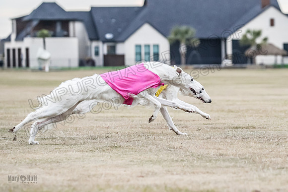 1Prelim Open 1 Marcasite Lightening-2311