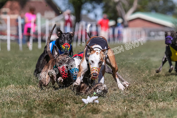 Prg 4, Race 4, Elia Zivah Moki Sansa Patsy-0168