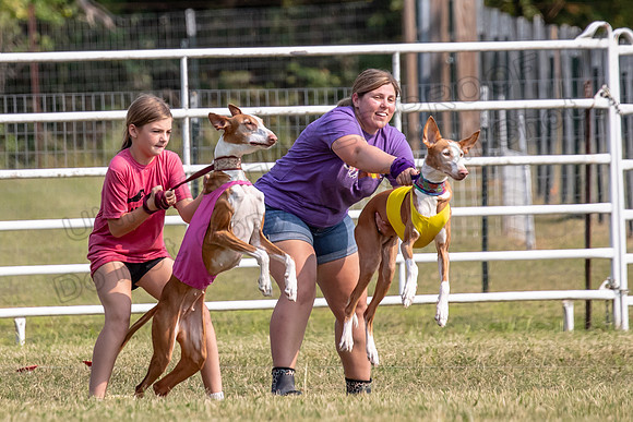Finals Veteran Izzy Dawn-4239