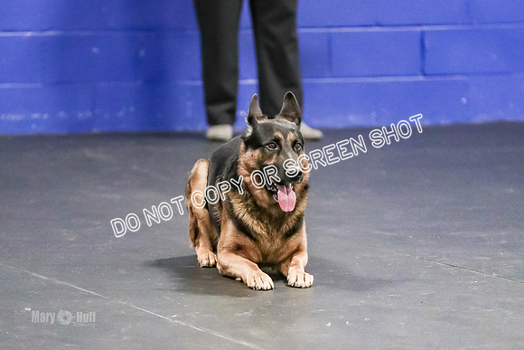 AE4I0277