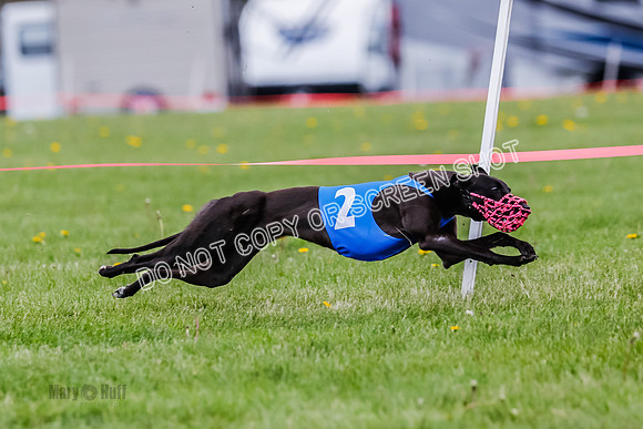NOTRA Program 2, Race 7, Ragnar Power Sandy Elvis-2-10