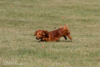 IMG_1837