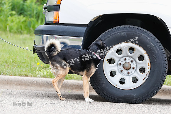 L3 Vehicle-7294