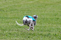 Prelim Veteran 1, Akela Ricky Bobby Blue-6276