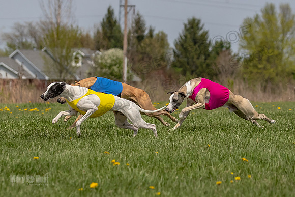 Finals Specials B2 PeteySue Frankie Rush-4605