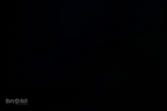 AE4I6380