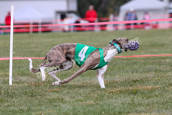 Prg 1, Race 18, Bibi Banshee Thunder Moonstruck-1034