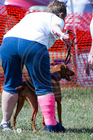IMG_8414