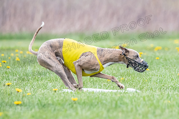 Finals Fch A4 Finely Carrie-9323