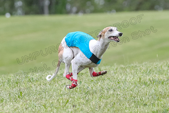 Finals Vets 4, Parker Marley Brag-2397