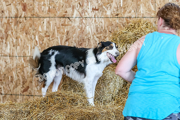 MCH50249