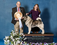 Elkhound 2020-1120-Edit
