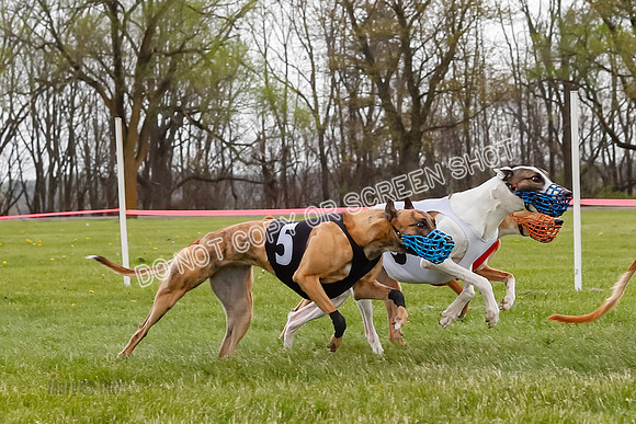 WRA, Prg 4, Race and 9, Bookie Joplin, Jigsaw, Chase, Navi, Rogue-9422