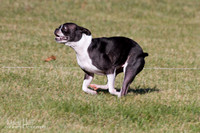 IMG_1320