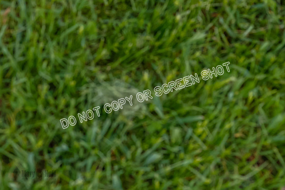 _E4I8644
