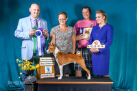 BEST OF WINNERS, WINNERS DOG, BEST BRED BY