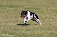IMG_1383