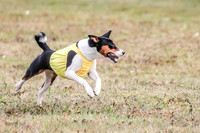 1 Prelims Open Lizzii-0656