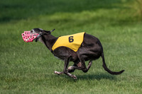 prg 1 race 1 Nathalia Tissy Seeker Angel-2842