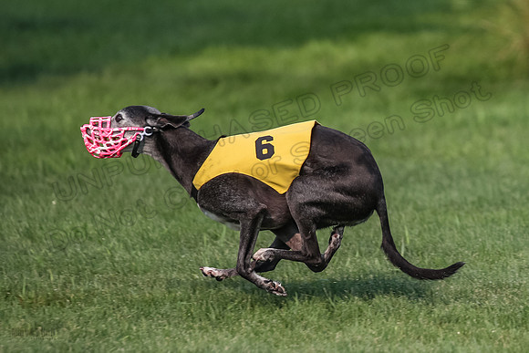 prg 1 race 1 Nathalia Tissy Seeker Angel-2842