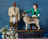 Elkhound 2020-1187-Edit