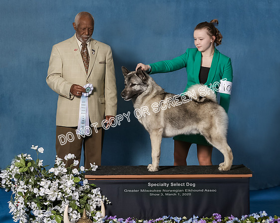 Elkhound 2020-1187-Edit