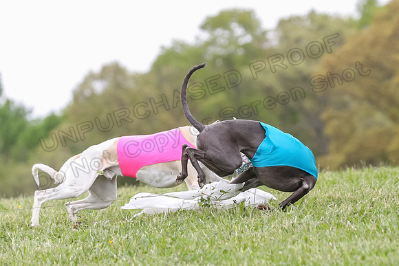 Finals Open G1, Smudge Julian Sneakers-1536