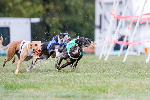 Prg 1, Race 16, Carl Maybe Bookie Sealli-0965