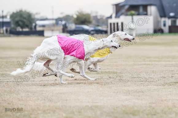 1Prelim Open 1 Marcasite Lightening-2309